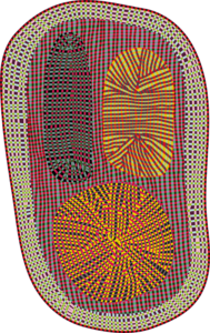 Amoeba